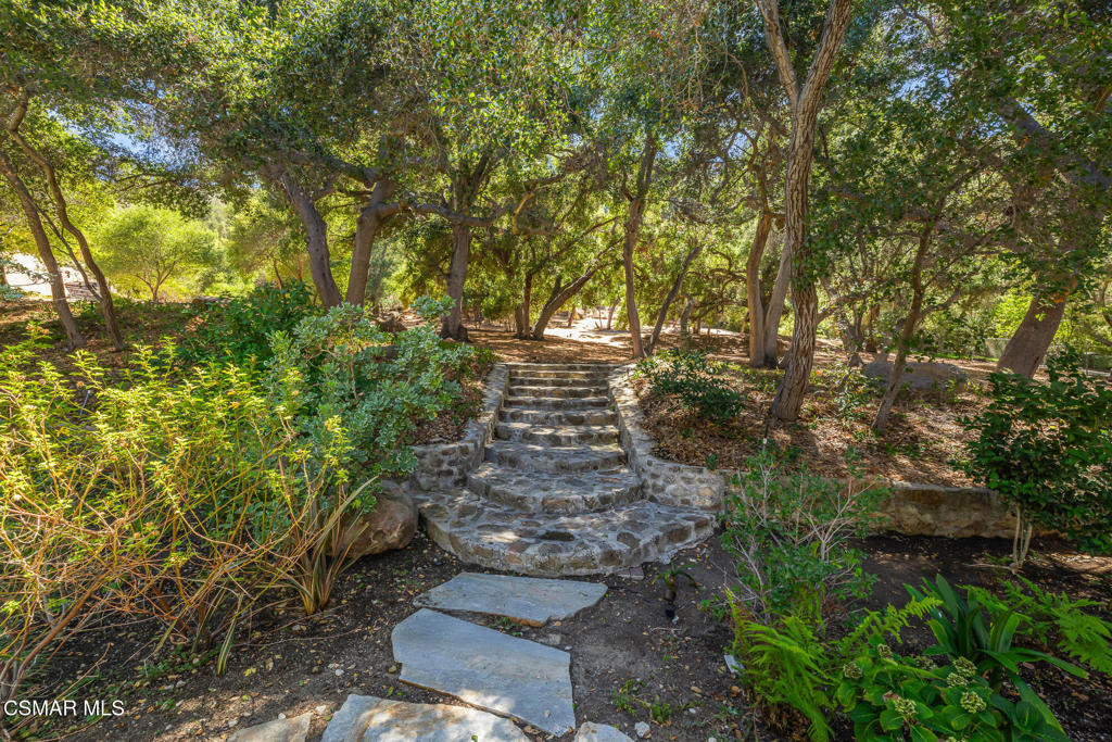 25820 Piuma Road Property Photo 43