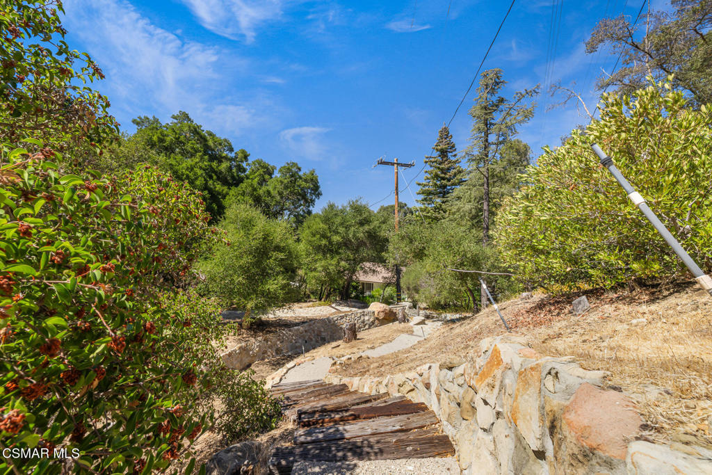 25820 Piuma Road Property Photo 48