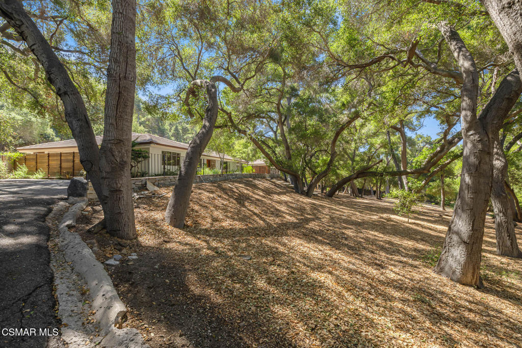 25820 Piuma Road Property Photo 51