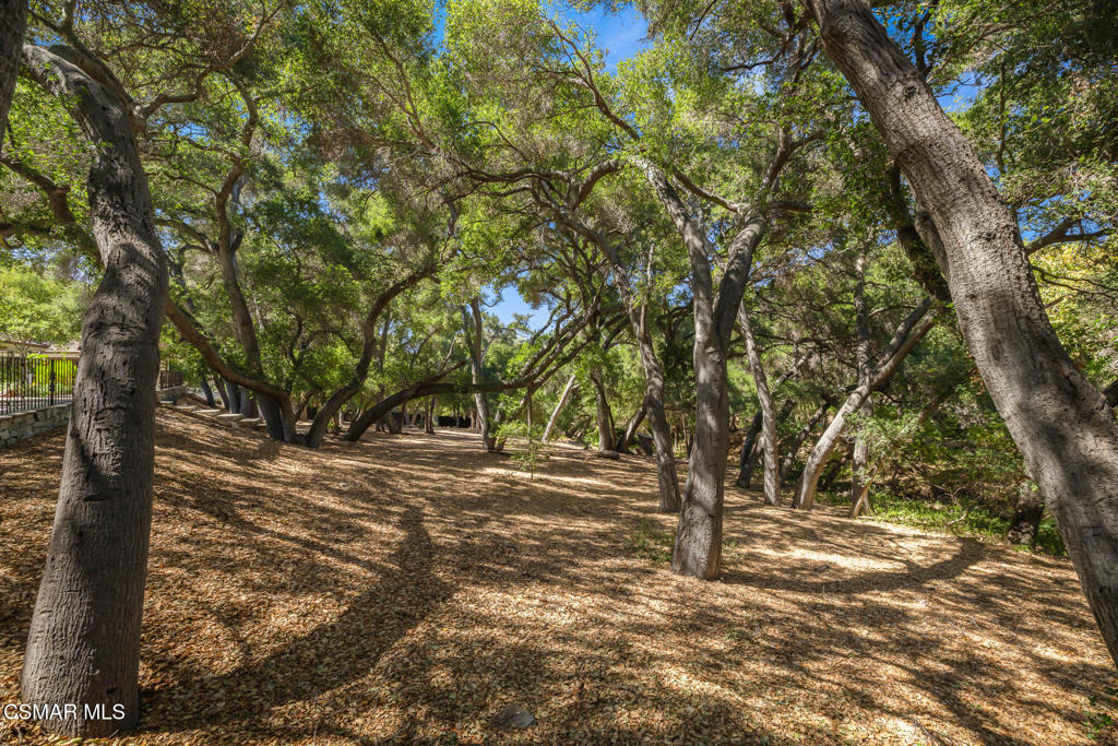 25820 Piuma Road Property Photo 55