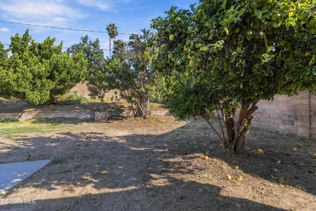 1317 Agnew Street Property Photo 31