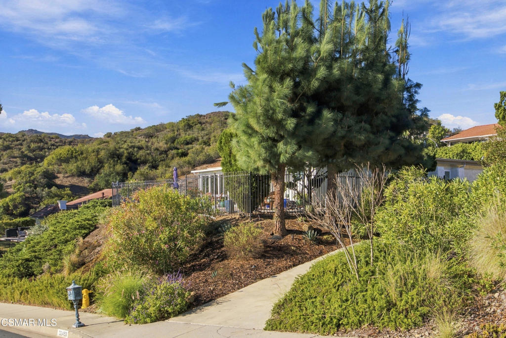 32458 Saddle Mountain Drive Property Photo 12