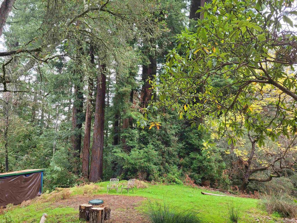 16885 Laurel Road Property Photo 30