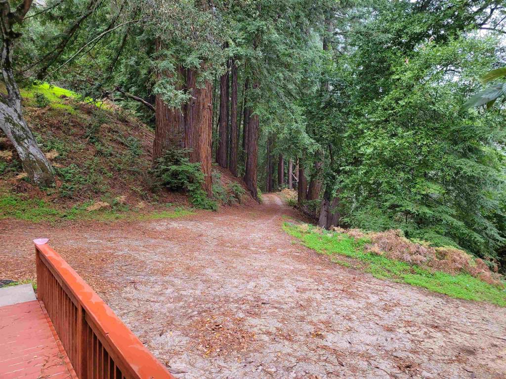 16885 Laurel Road Property Photo 33