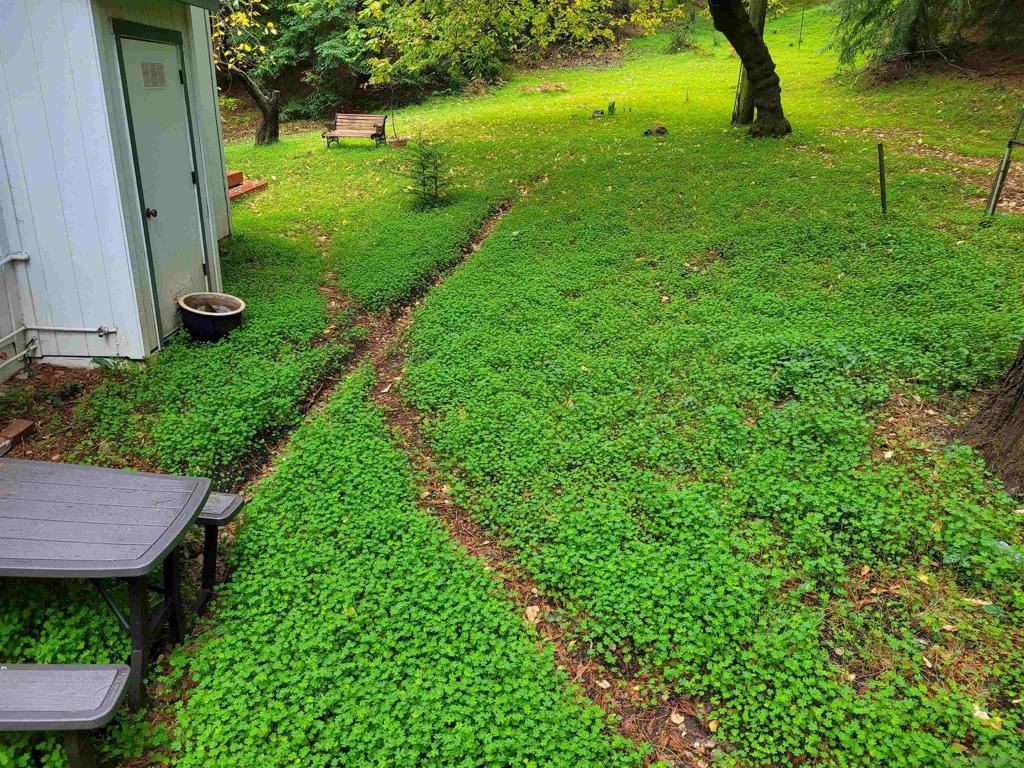 16885 Laurel Road Property Photo 38