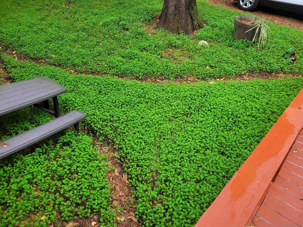 16885 Laurel Road Property Photo 39