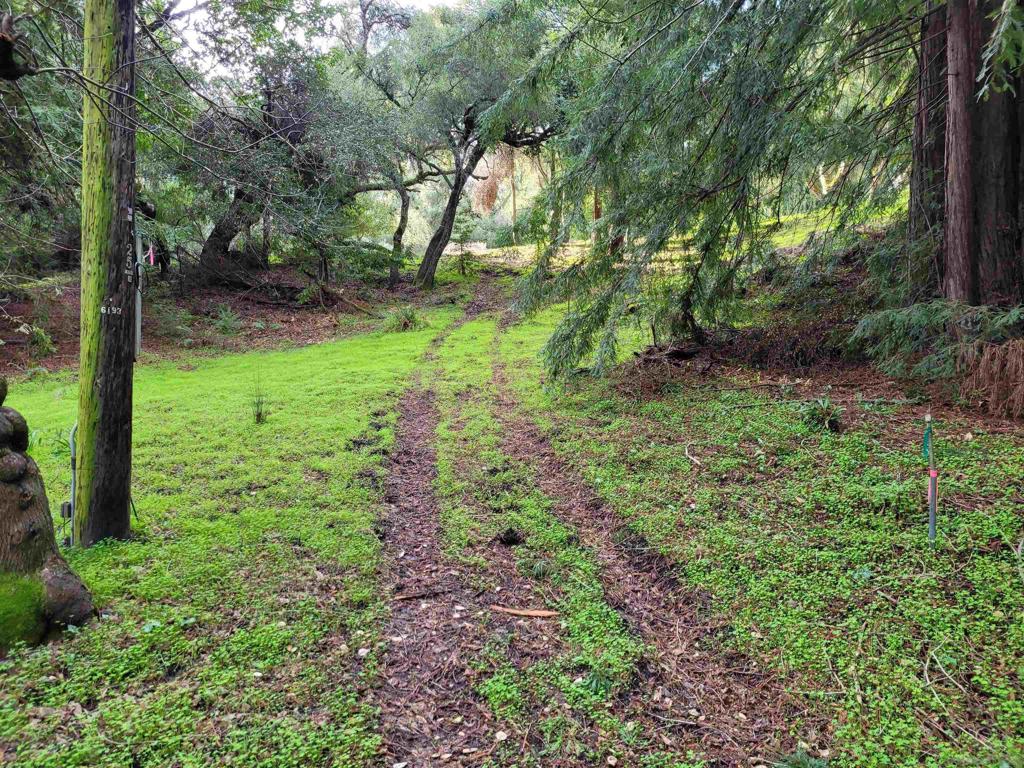 16885 Laurel Road Property Photo 40