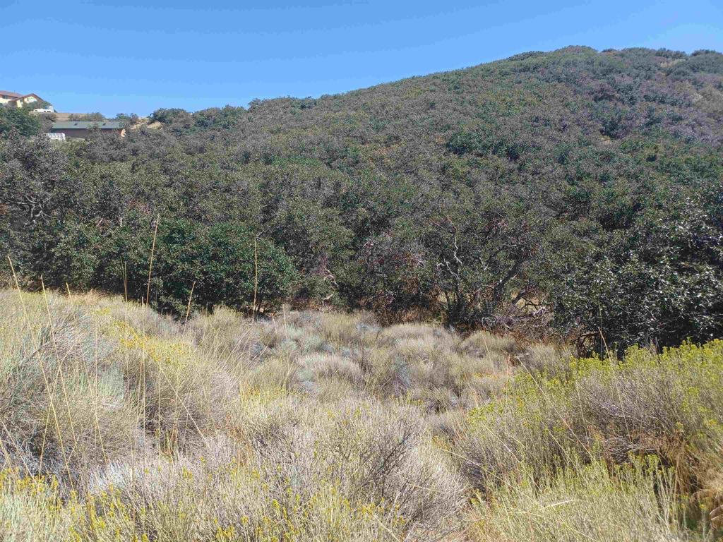 22920 Constance Way Property Photo 2