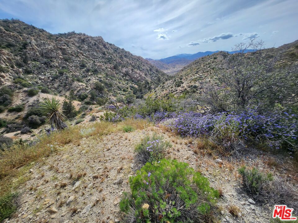 20 W Omega Trail Property Photo 2