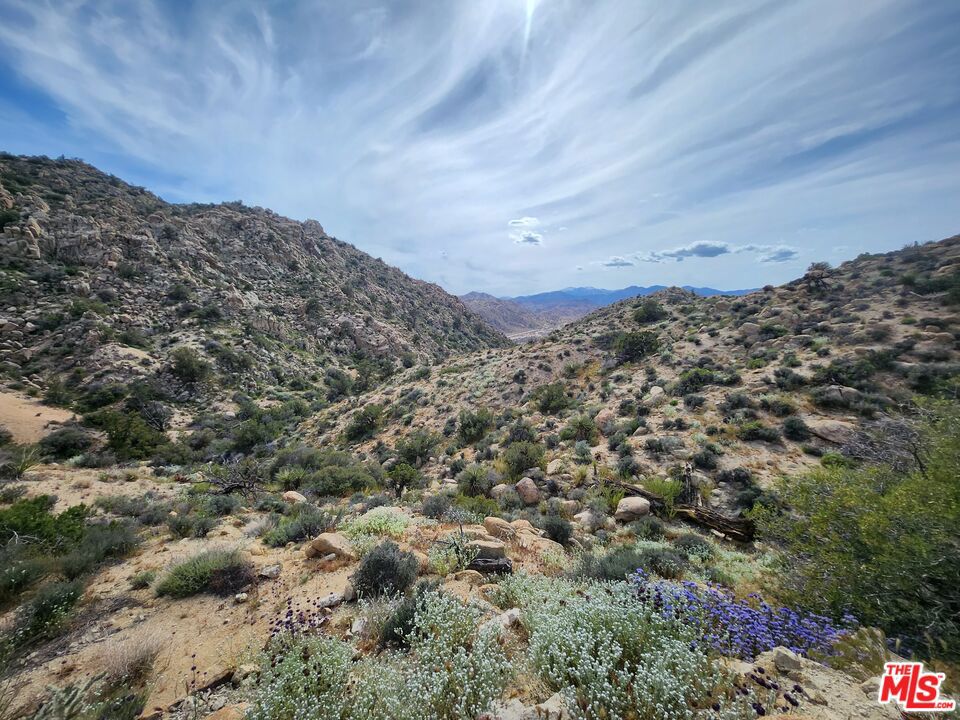 20 W Omega Trail Property Photo 3