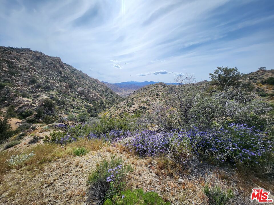 20 W Omega Trail Property Photo 7