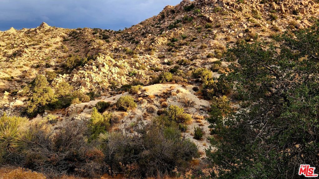 10 W Omega Trail Property Photo 32