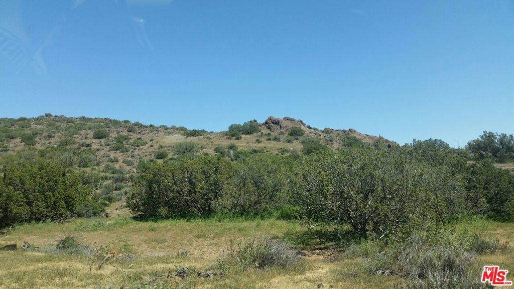 34590 Brock Ln Street Property Photo 4