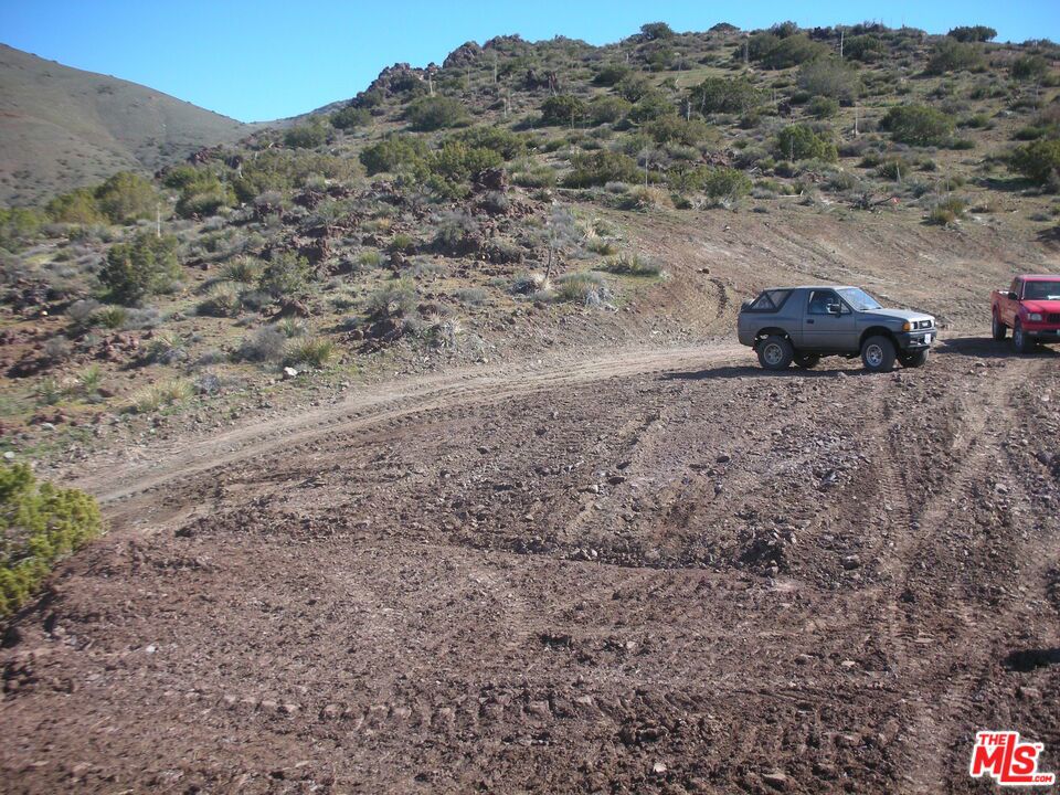 34590 Brock Ln Street Property Photo 5