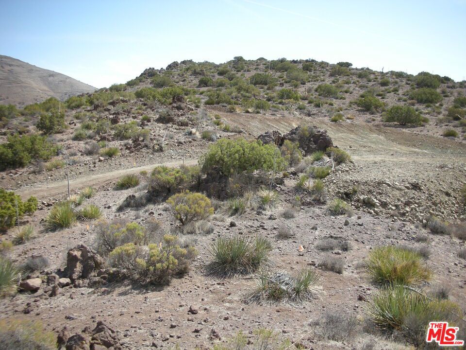 34590 Brock Ln Street Property Photo 6