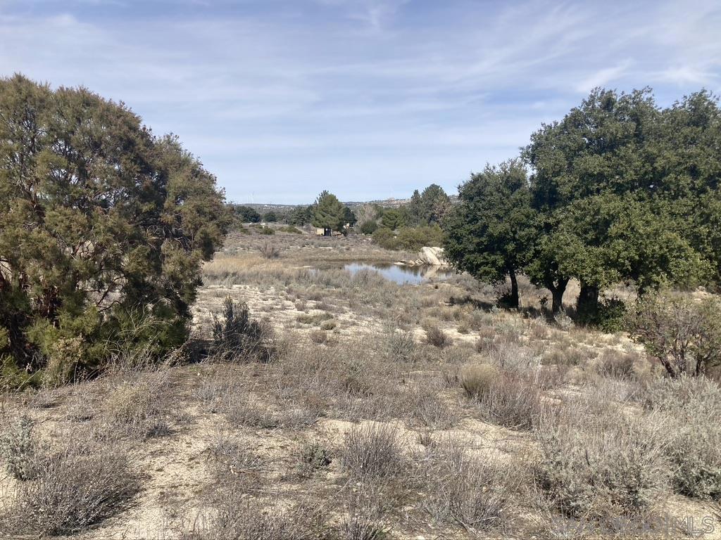 2782 Ribbonwood Road Property Photo 8