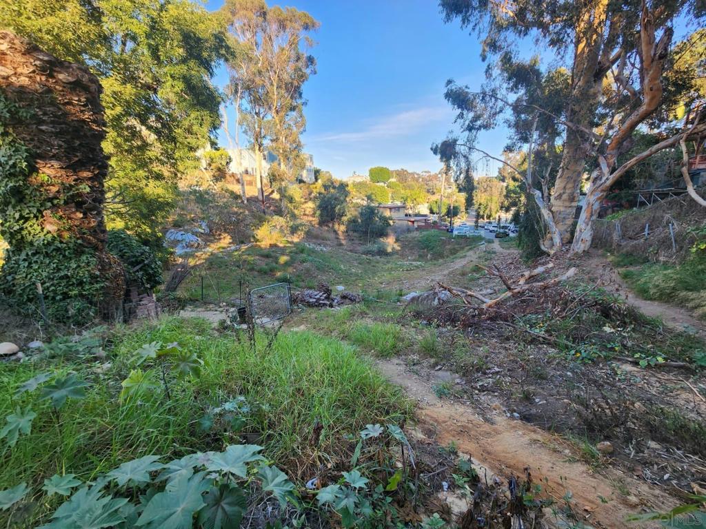 0 Bush St Property Photo 2
