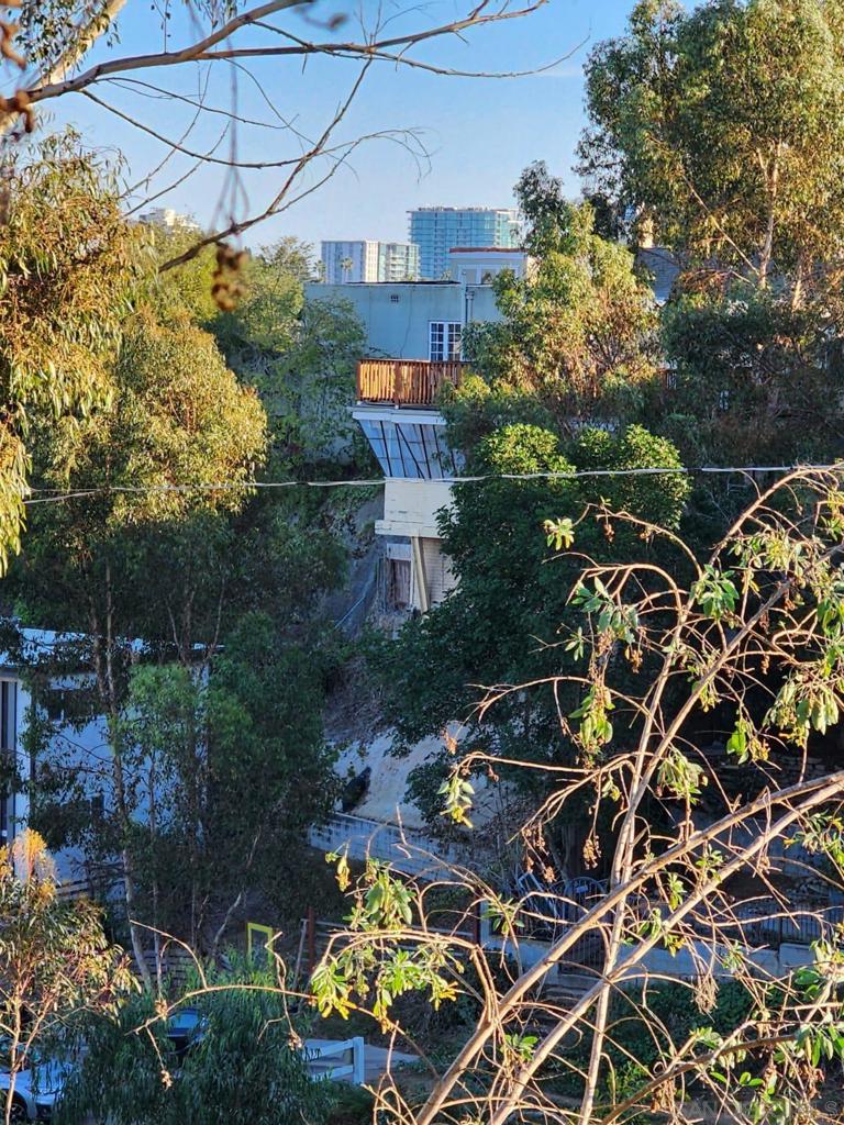 0 Bush St Property Photo 3