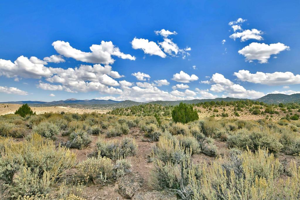 350 Aspen Lane Property Photo 38
