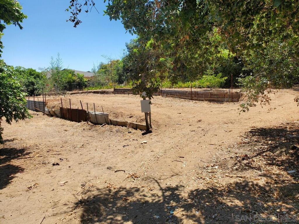 326 Plumosa Ave Property Photo 6