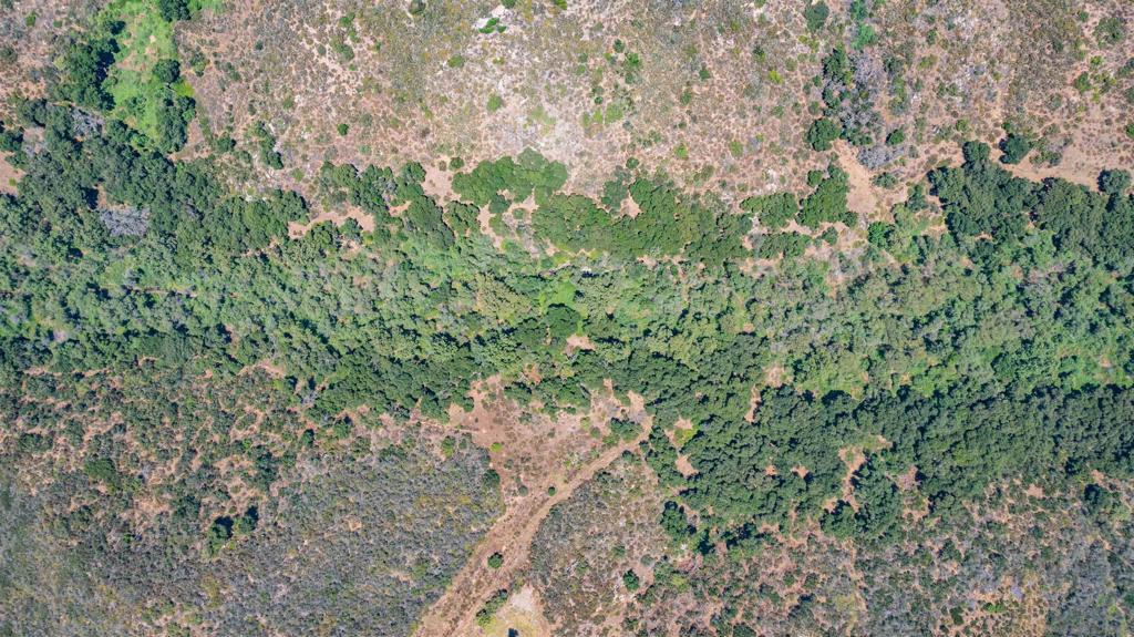 0 Running Creek Road Property Photo 13