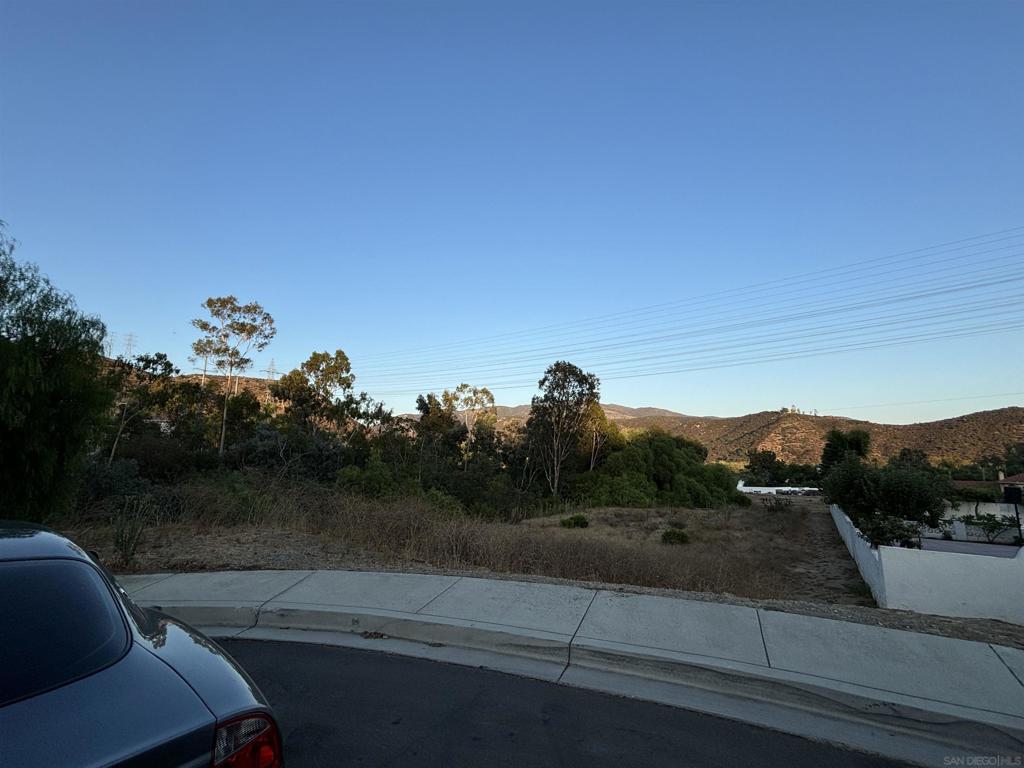 1819 Lola Lane Property Photo 4