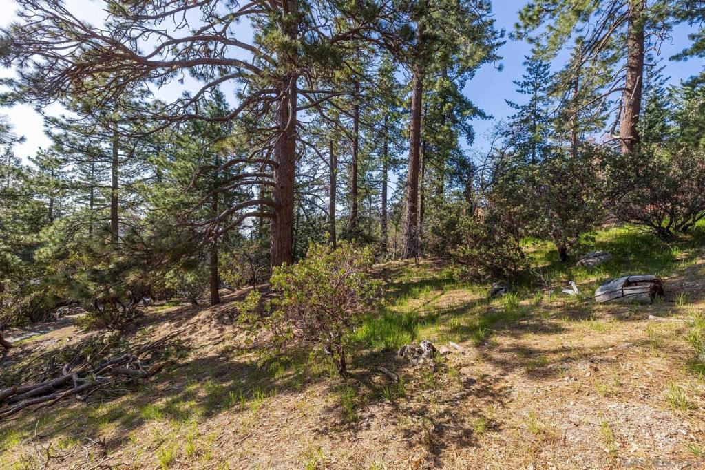 0 Logan Creek Dr. Property Photo 1