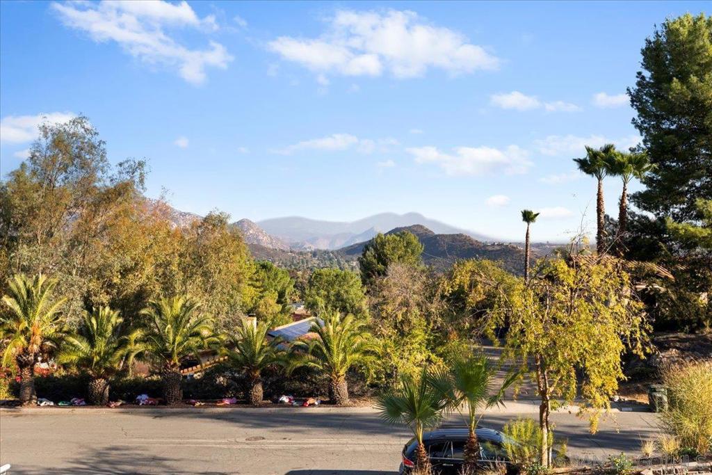 16310 Oak Springs Dr Property Photo 44