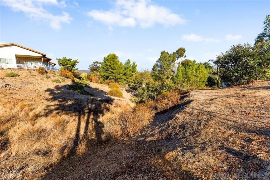 16310 Oak Springs Dr Property Photo 54