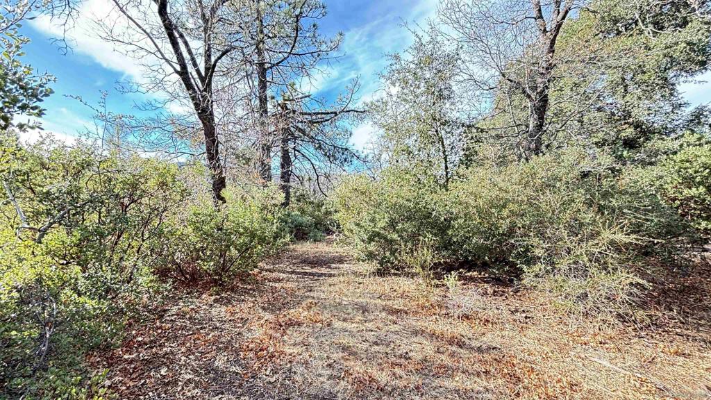 0 Incense Cedar Rd. Property Photo 7