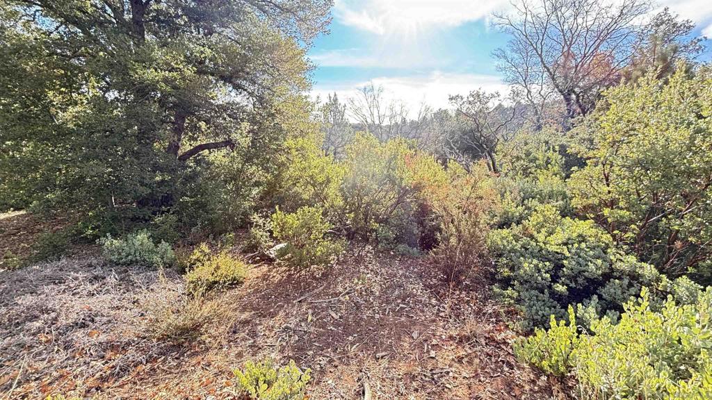 0 Incense Cedar Rd. Property Photo 10