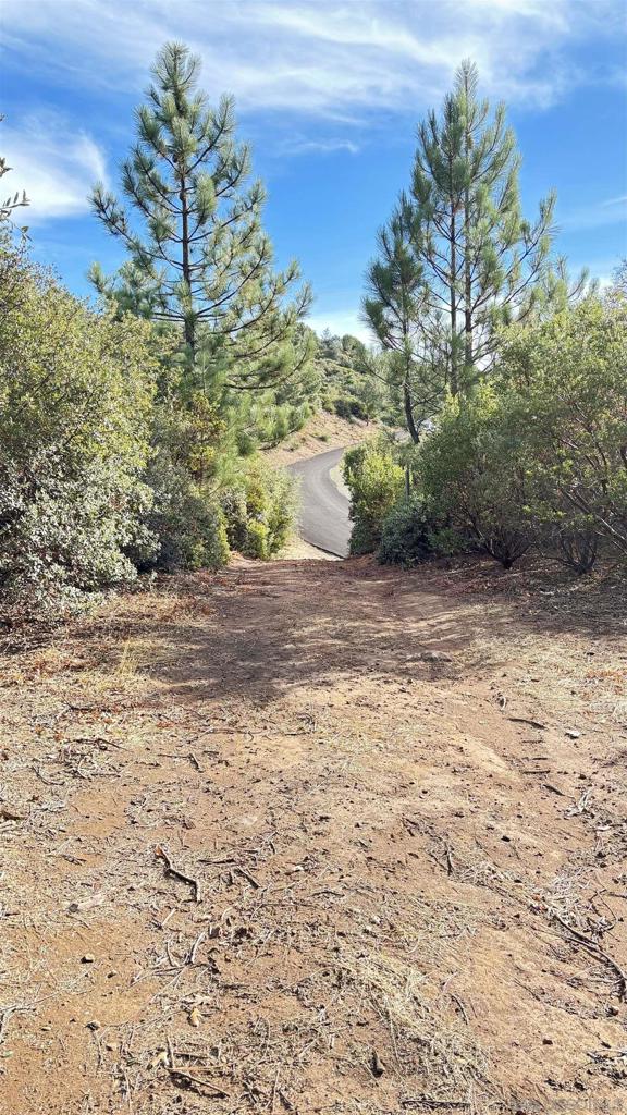 0 Incense Cedar Rd. Property Photo 12