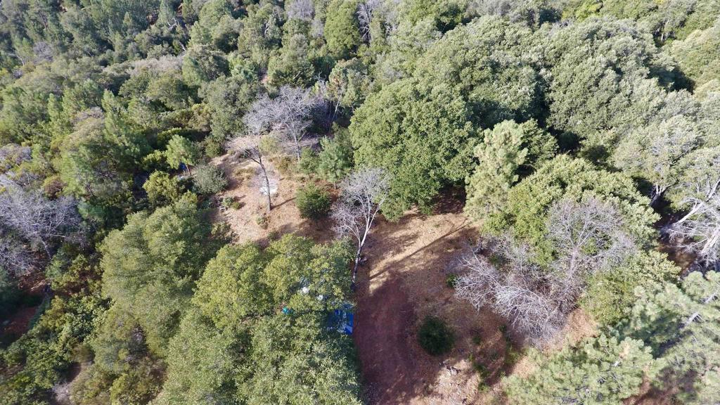 0 Incense Cedar Rd. Property Photo 16