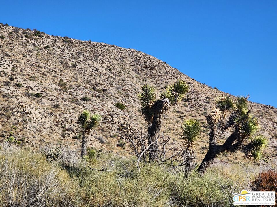 54260 Pinon Drive Property Photo 4