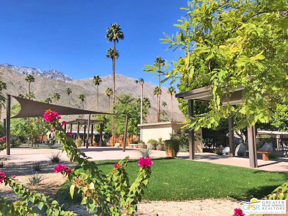 221 Safari Street Property Photo 16