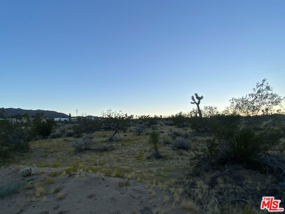 0 Saddleback Road Property Photo 3