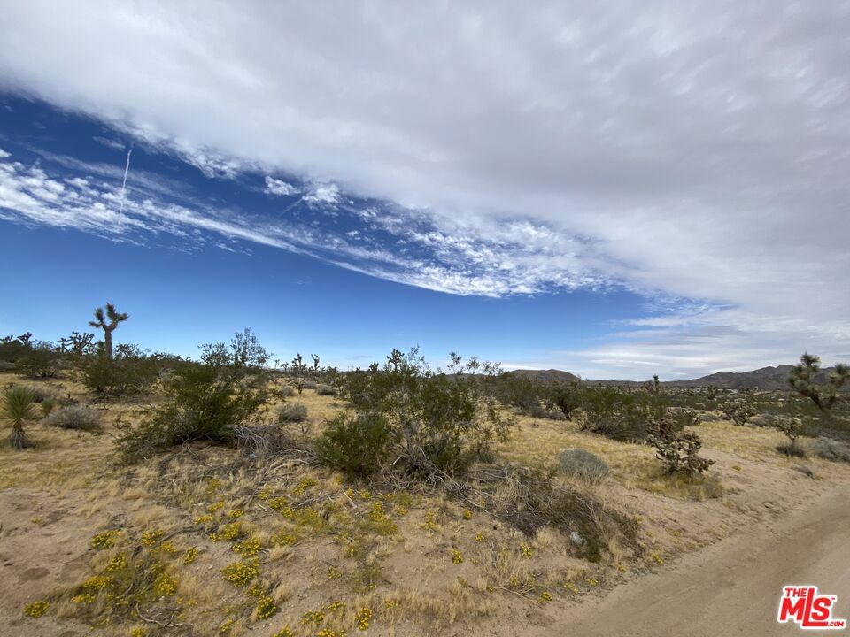 0 Saddleback Road Property Photo 6