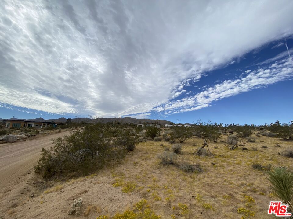 0 Saddleback Road Property Photo 8