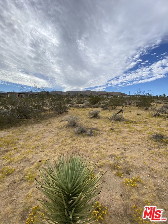 0 Saddleback Road Property Photo 10