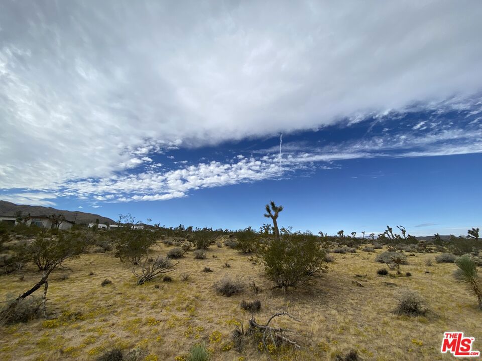 0 Saddleback Road Property Photo 11