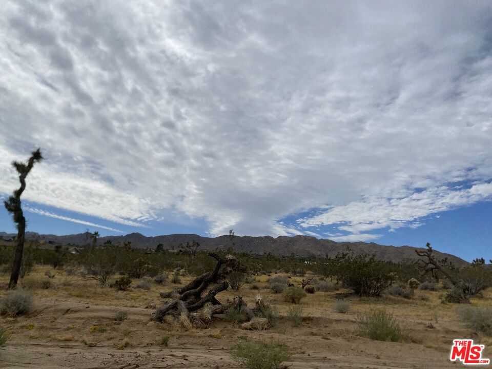 0 Saddleback Road Property Photo 13