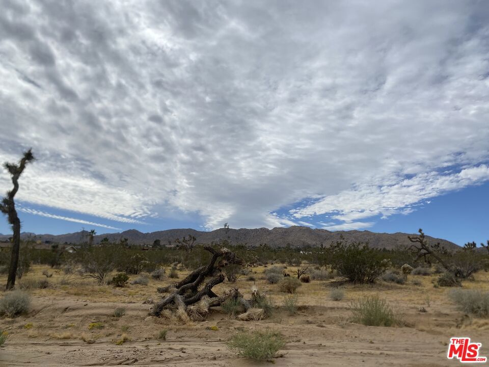 0 Saddleback Road Property Photo 14