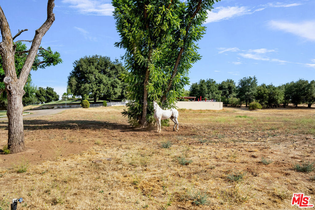 40335 Avenida Altejo Bella Property Photo 20