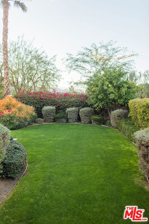 54155 Cananero Circle Property Photo 45