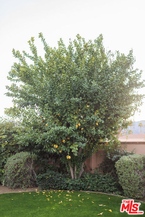 54155 Cananero Circle Property Photo 46
