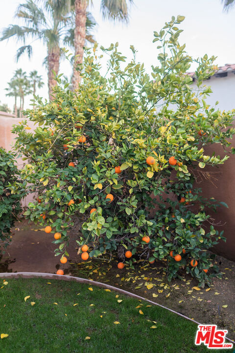 54155 Cananero Circle Property Photo 47