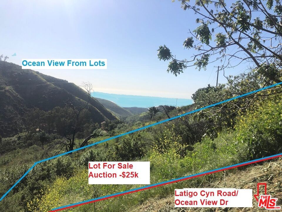 4218 Latigo Property Photo 4