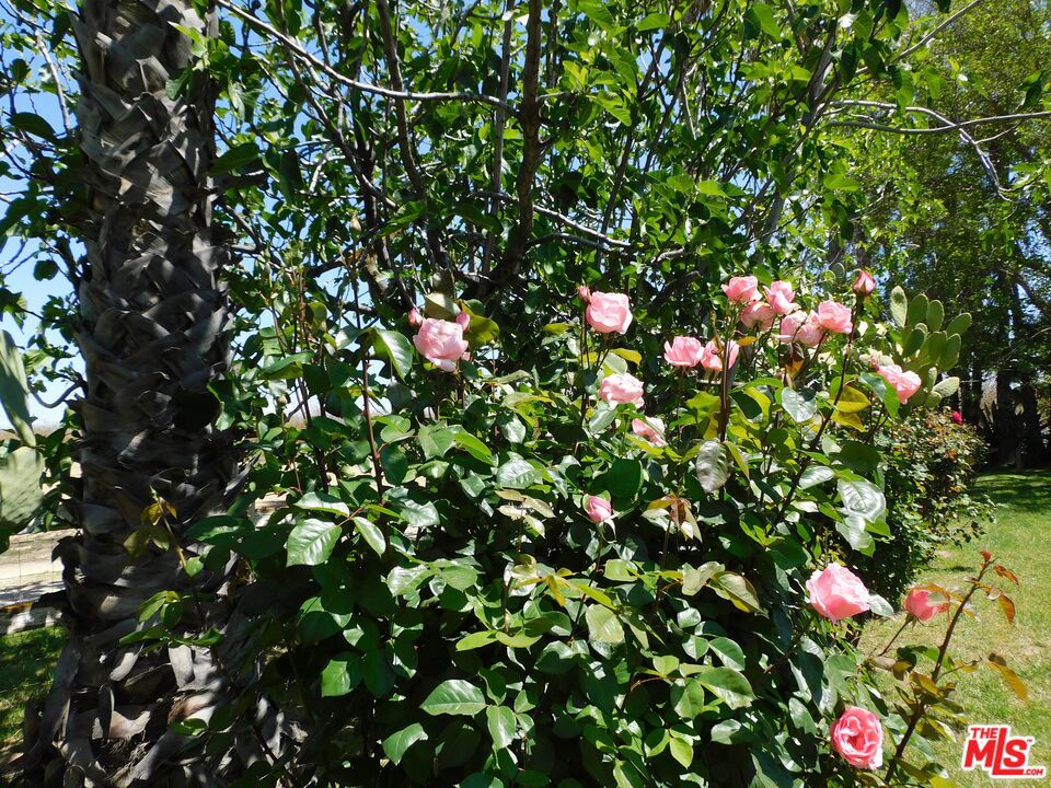 8241 Koch Road Property Photo 70