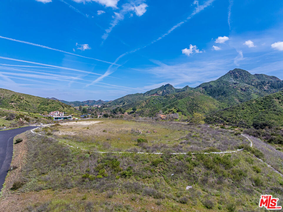 31725 Lobo Canyon Road Property Photo 3