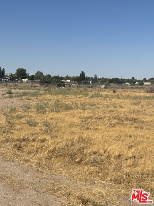 0 Main Street Property Photo 2